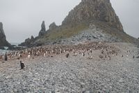
DSC00160